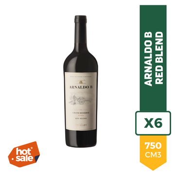 Vino Arnaldo B. Gran Reserva Red Blend 750ml x6