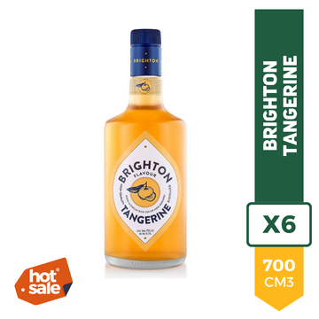 Gin Brighton Tangerine 700ml x6