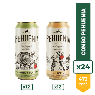 Combo Pehuenia