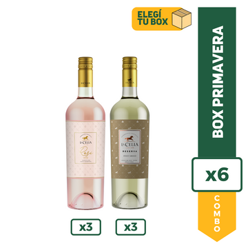 Combo Vinos Primavera x6
