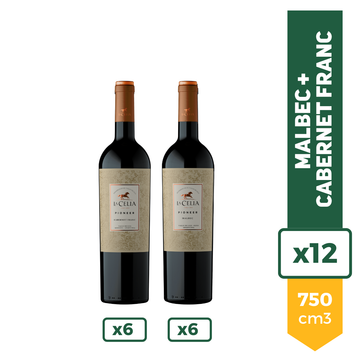 Combo Vinos La Celia