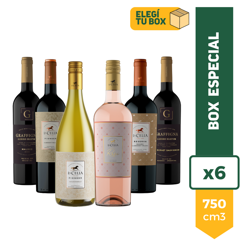 Combo Vinos Especial x6