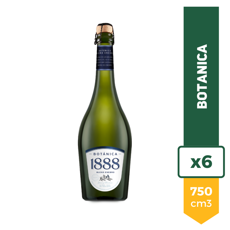 Sidra 1888 Saenz Briones Botánica 750ml x6