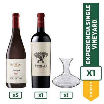 Combo Etchart Assemblage x 1 +  Etchart SV Marbec 2023 x 5 + Decanter x 1