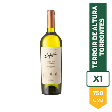 Vino Cafayate Terroir de Altura Torrontes 750ml