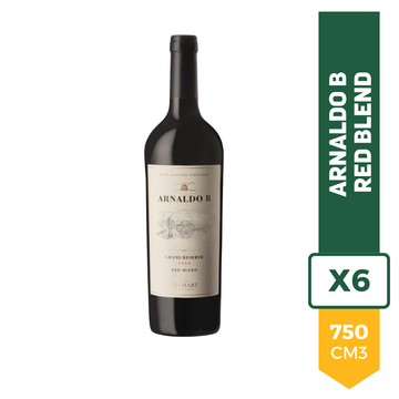 Vino Arnaldo B. Gran Reserva Red Blend 750ml x6