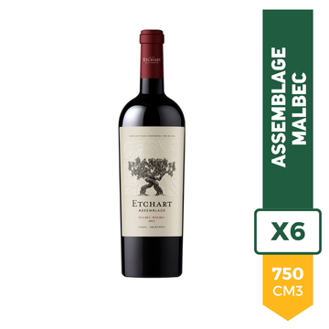 Vino Etchart Assemblage Malbec 750ml x6